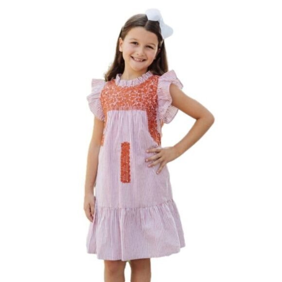 J. Marie Schaeffer Baby Dress 2T & 3T NWT Burnt Orange Embroidered Cotton Ruffle - Picture 1 of 5